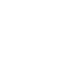 Play Icon